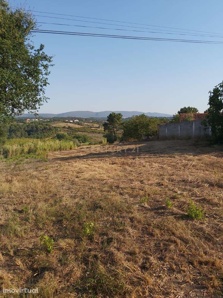Terreno para construção em Calvaria - Grande imagem: 2/12