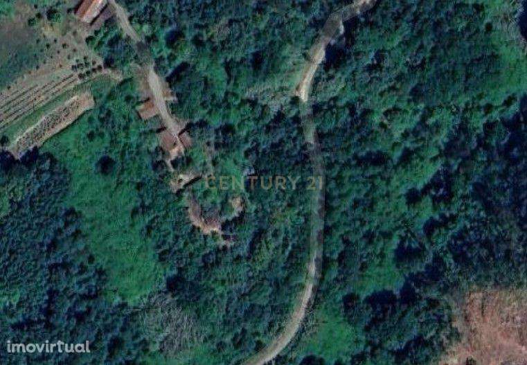 Terreno possível de construir loteamentos ou moradias em banda - Grande imagem: 2/10