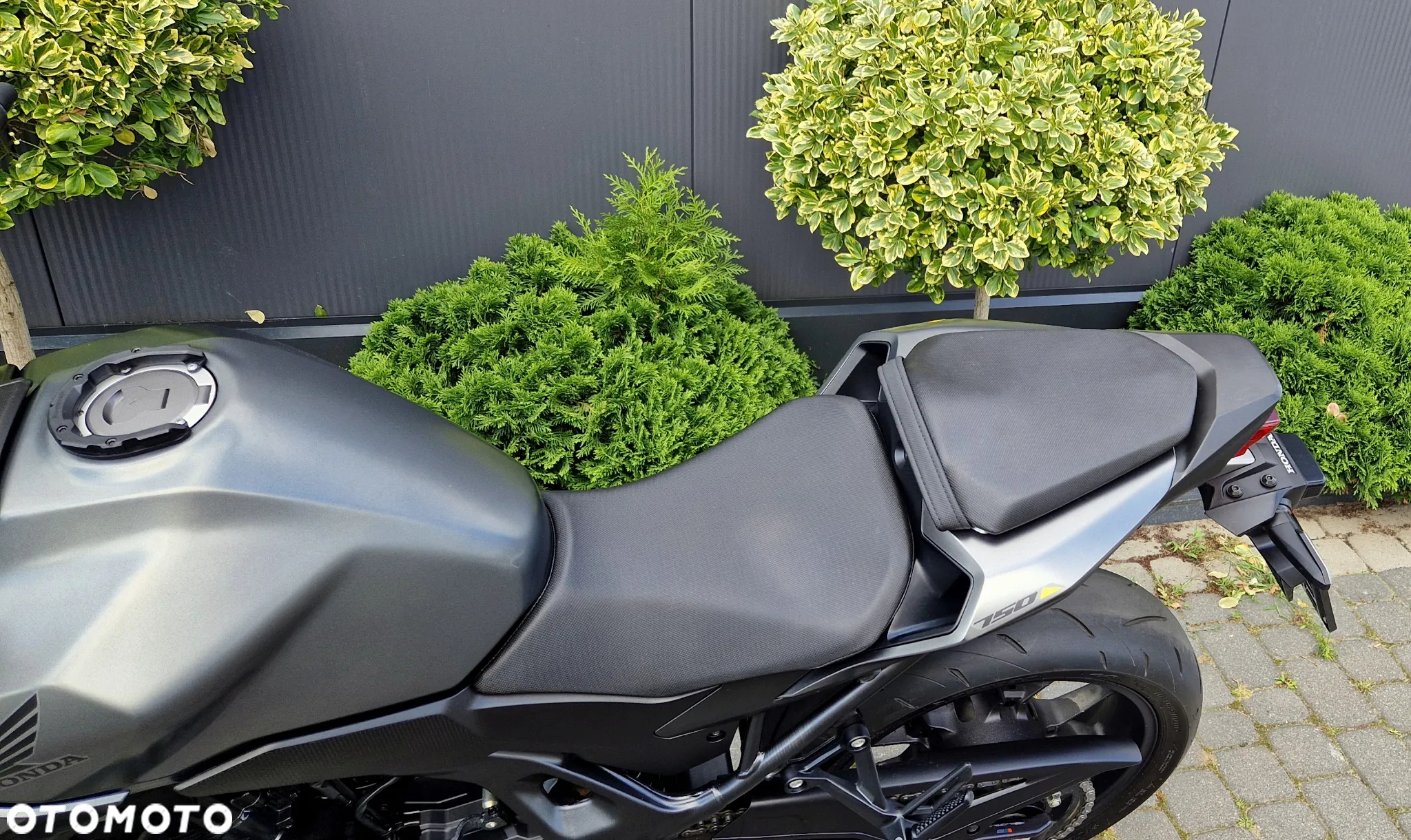 Honda Hornet - 33