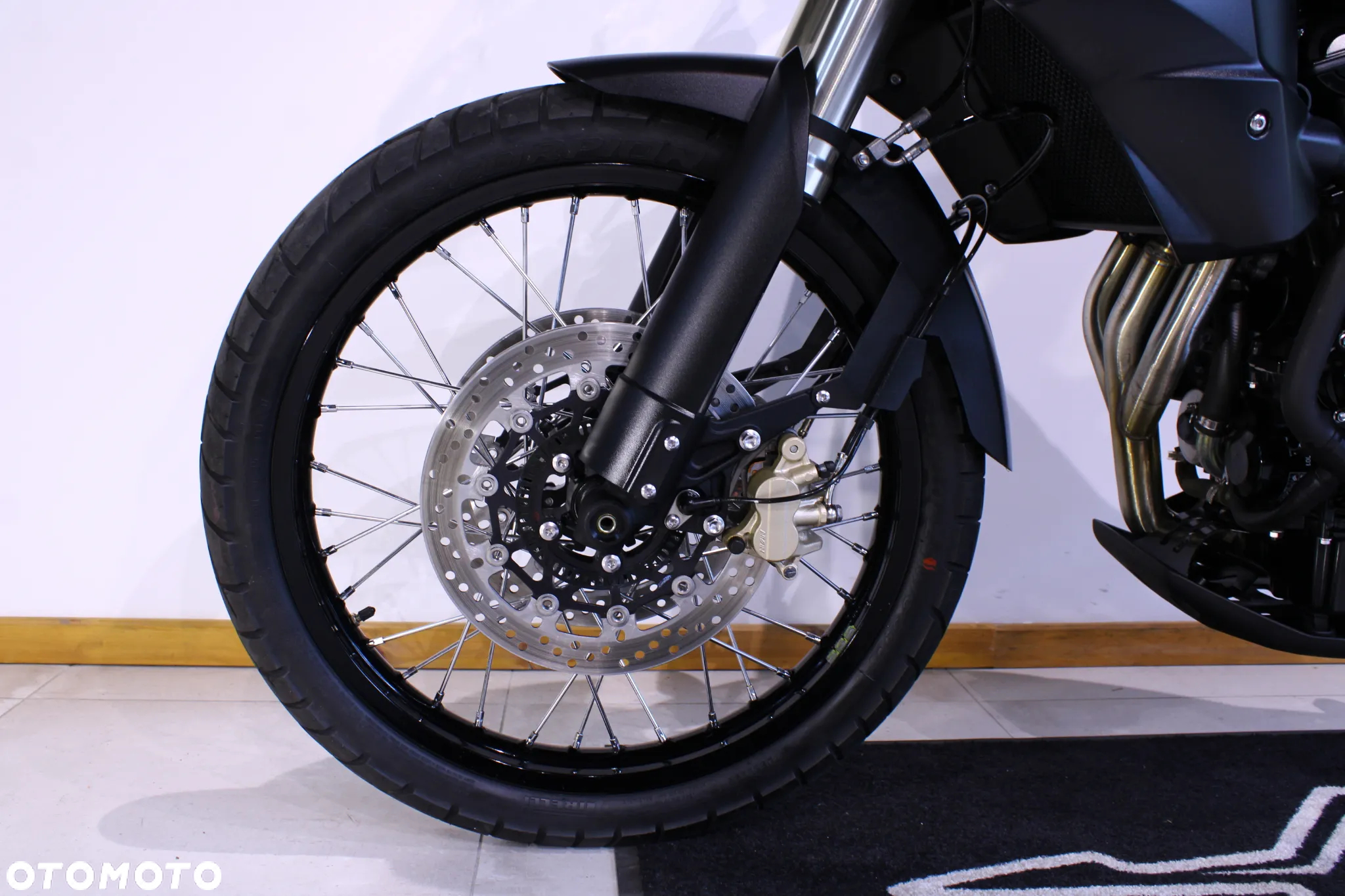 Triumph Tiger - 23