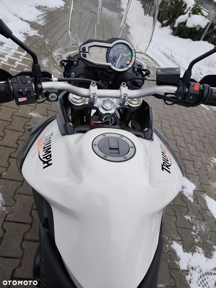 Triumph Tiger - 17