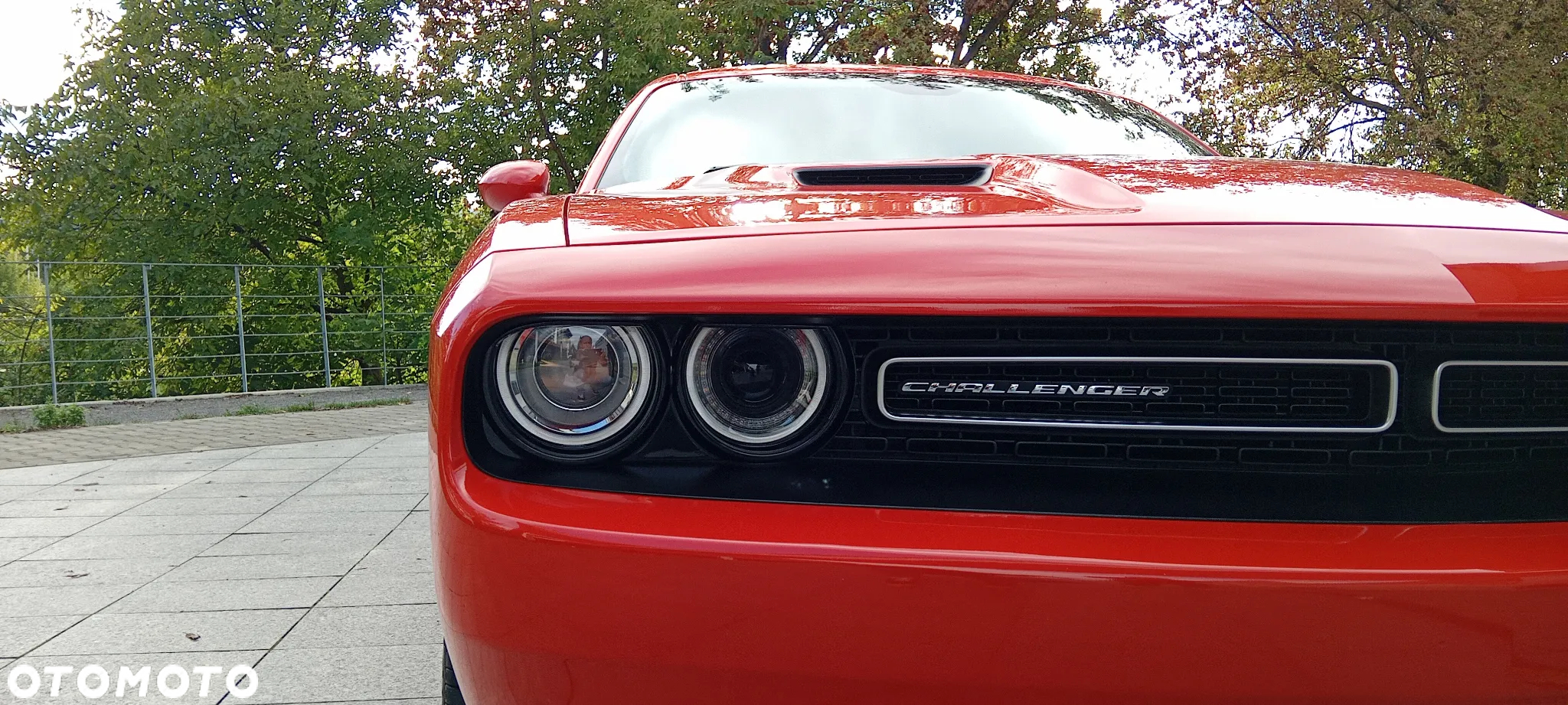 Dodge Challenger Automatik R/T Plus - 12