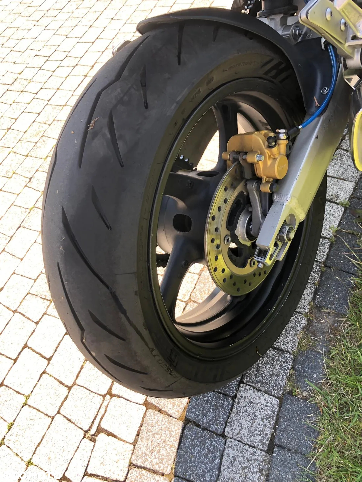 Honda Hornet - 6