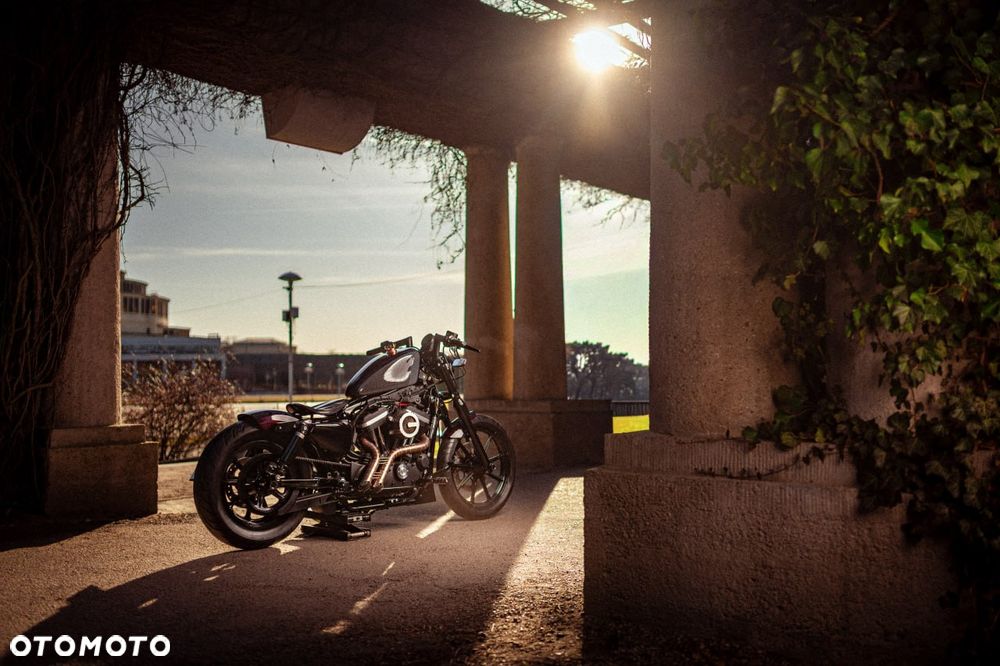 Harley-Davidson Sportster Iron 883 - 2