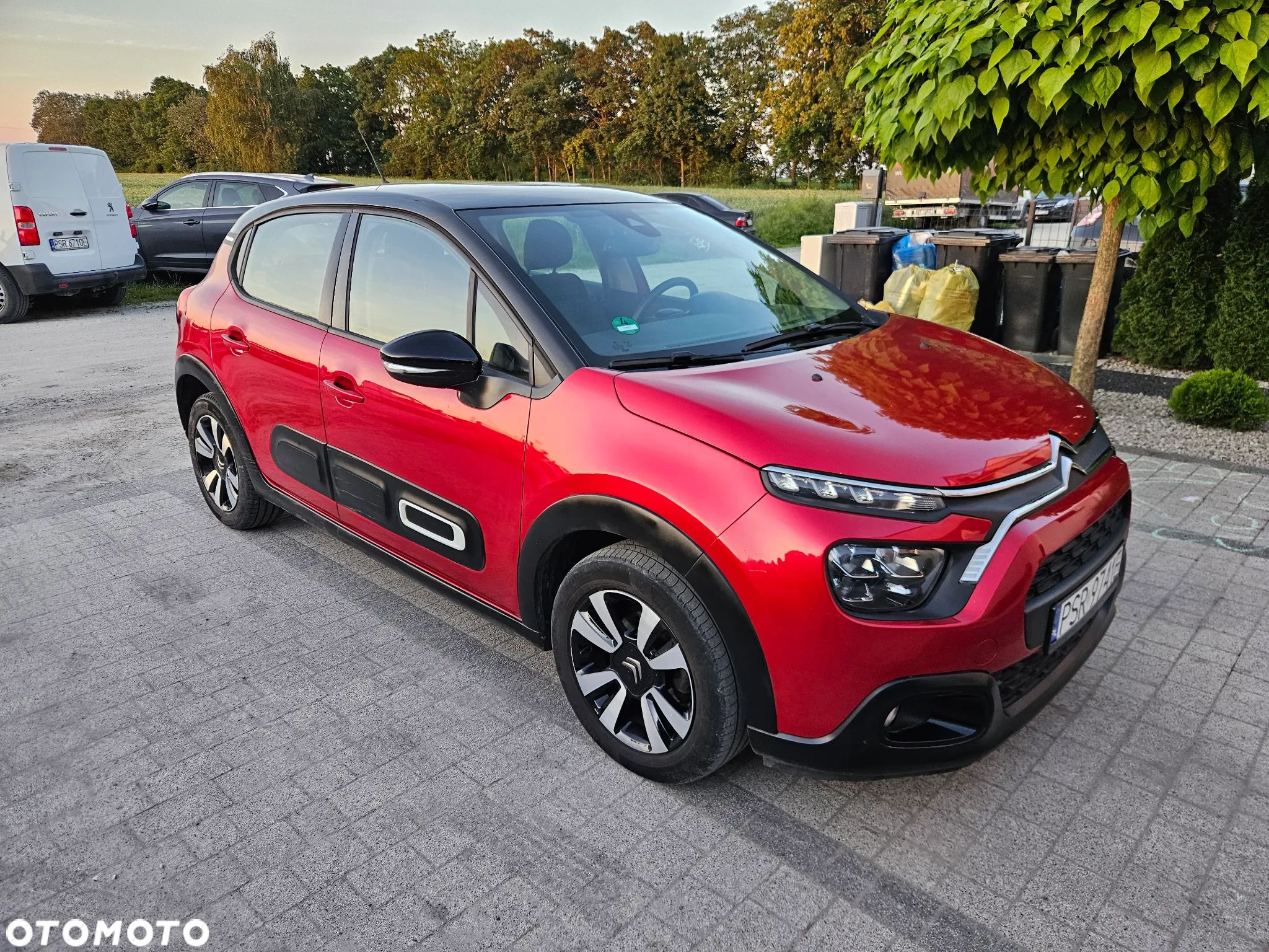 Citroën C3 Pure Tech 110 S&S SHINE - 1