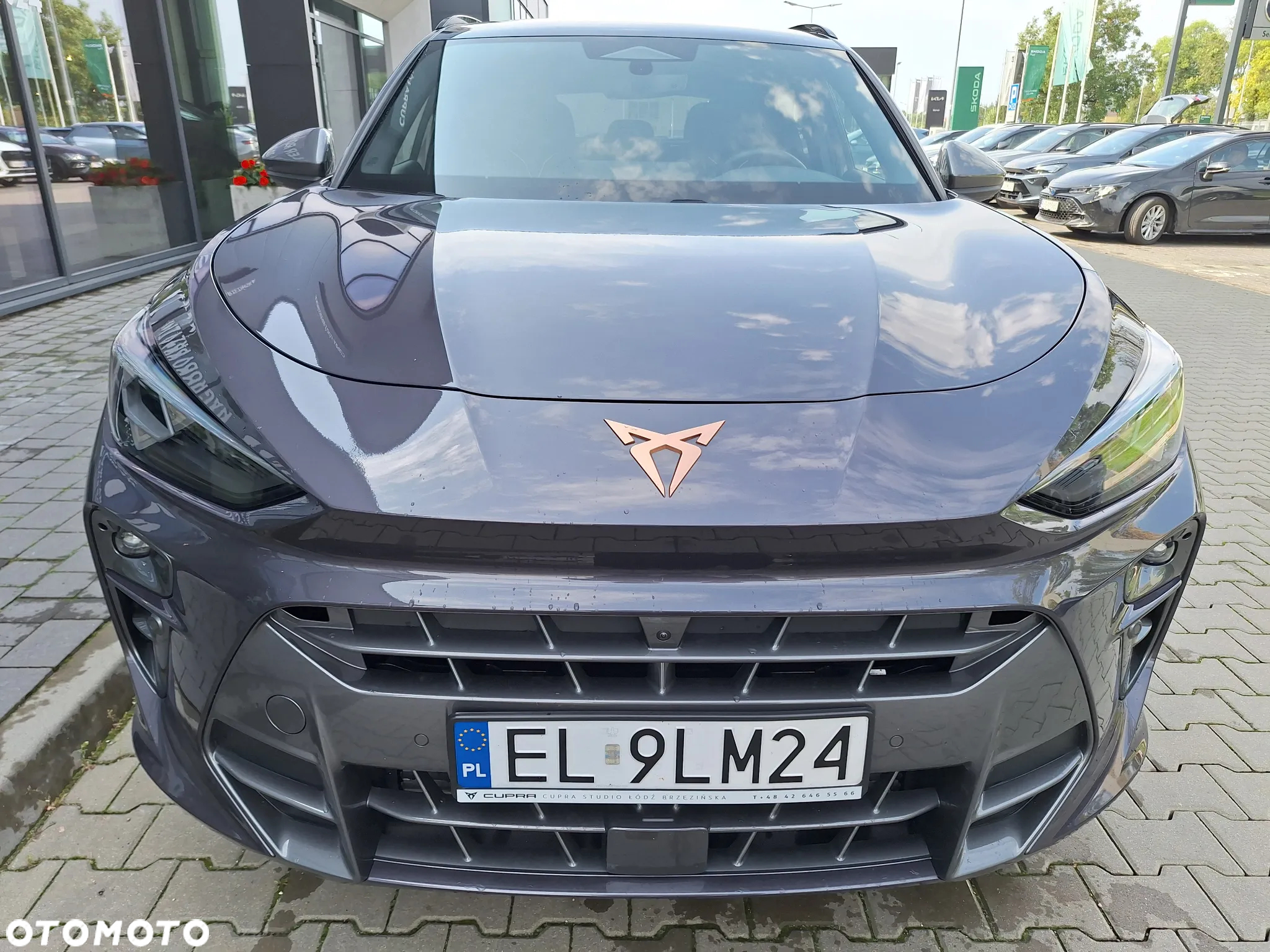 Cupra Terramar - 3