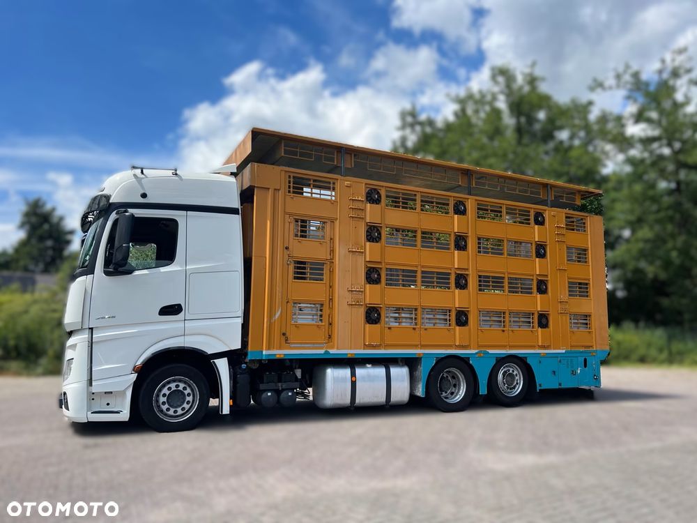 Mercedes-Benz Actros 2851 Finkl – Transport Zwierząt | 510 KM | Euro 6 | 4 Pokłady - 2