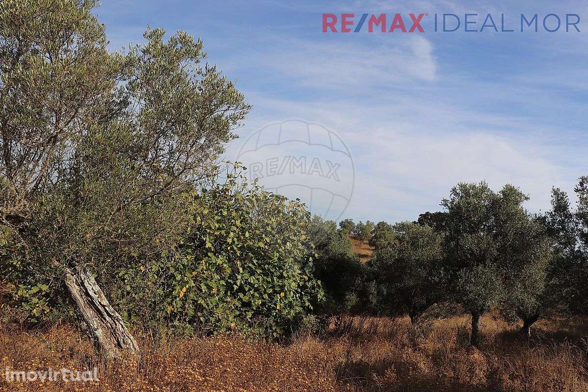 Quinta  para venda - Grande imagem: 5/9