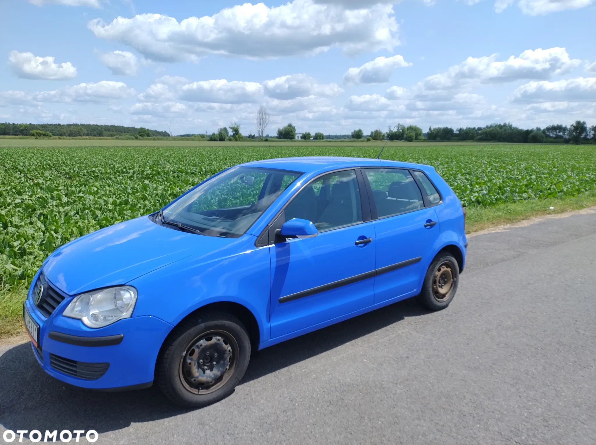 Volkswagen Polo - 8