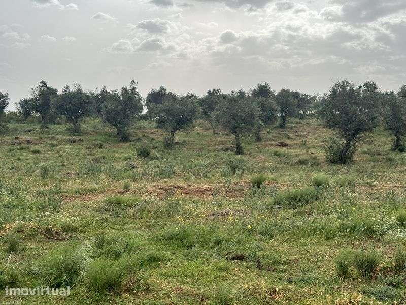 Terreno 36.750m2 Elvas - Grande imagem: 3/7