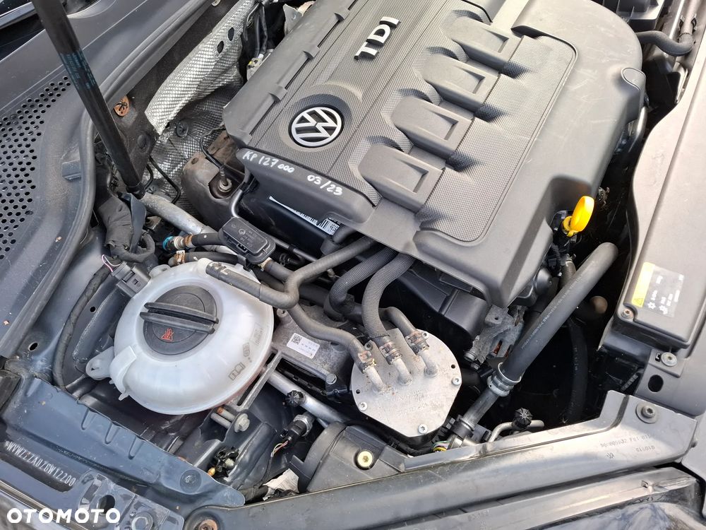 Volkswagen Golf - 25