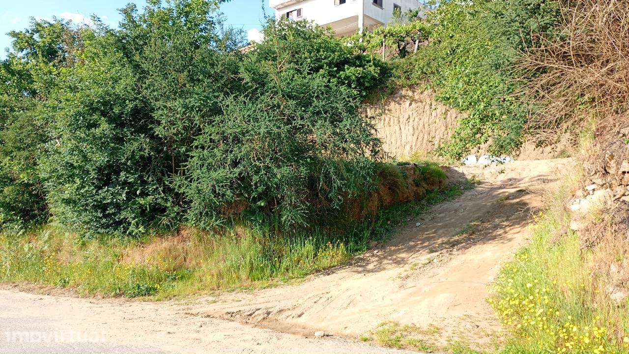 Terreno para Construção com 750 m² em São Mamede de Lustosa - Grande imagem: 4/6