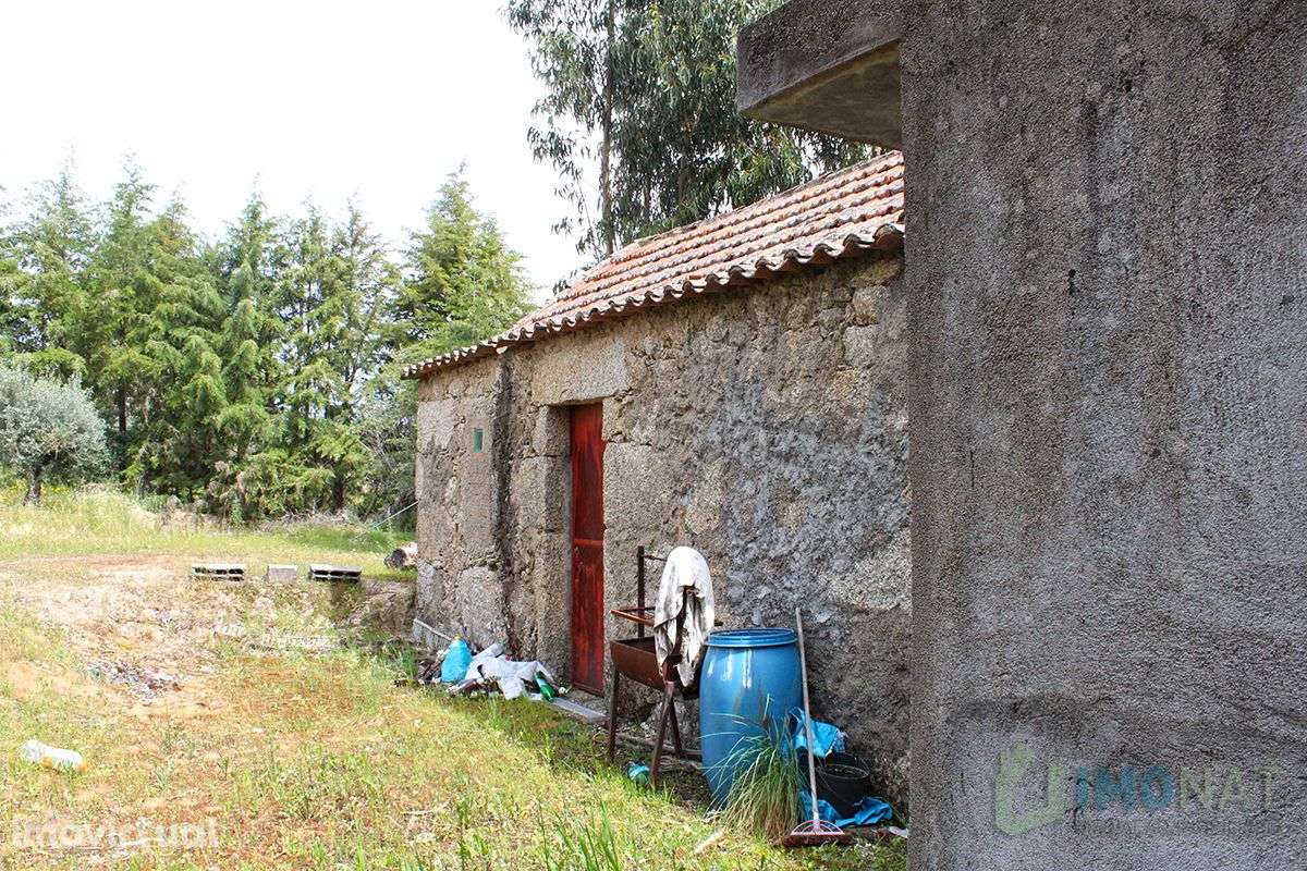 Quinta - Grande imagem: 3/20