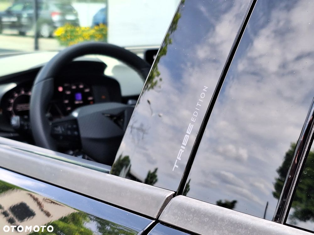 Cupra Terramar 2.0 TSI 4Drive Tribe Edition DSG - 16