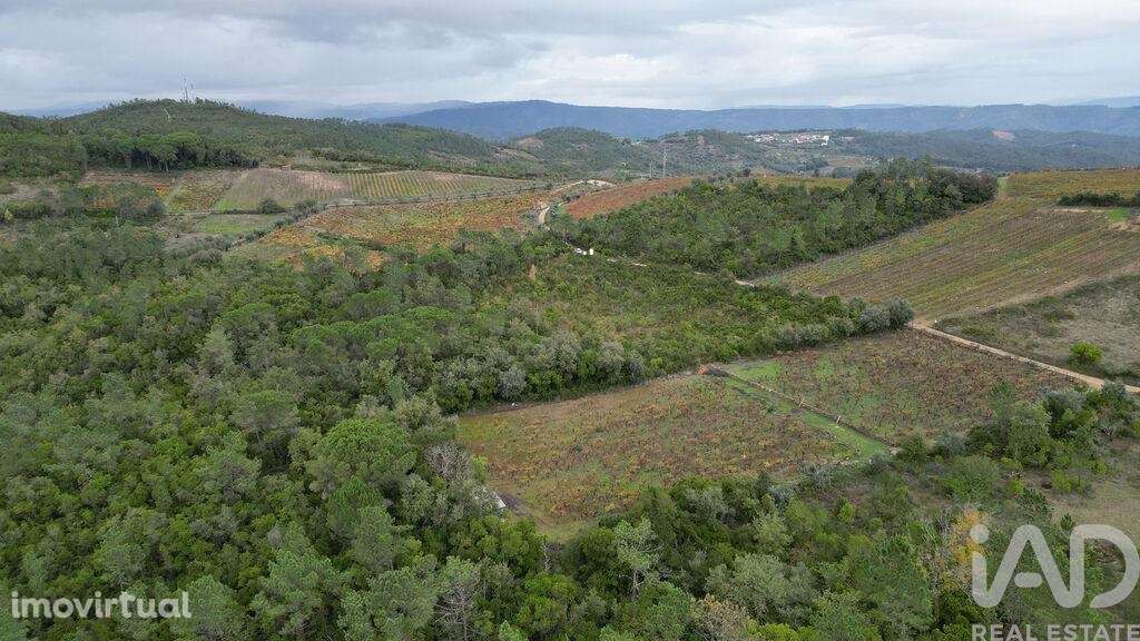 Terreno Agrícola em Condeixa-a-Velha e Condeixa-a-Nova - Grande imagem: 4/18