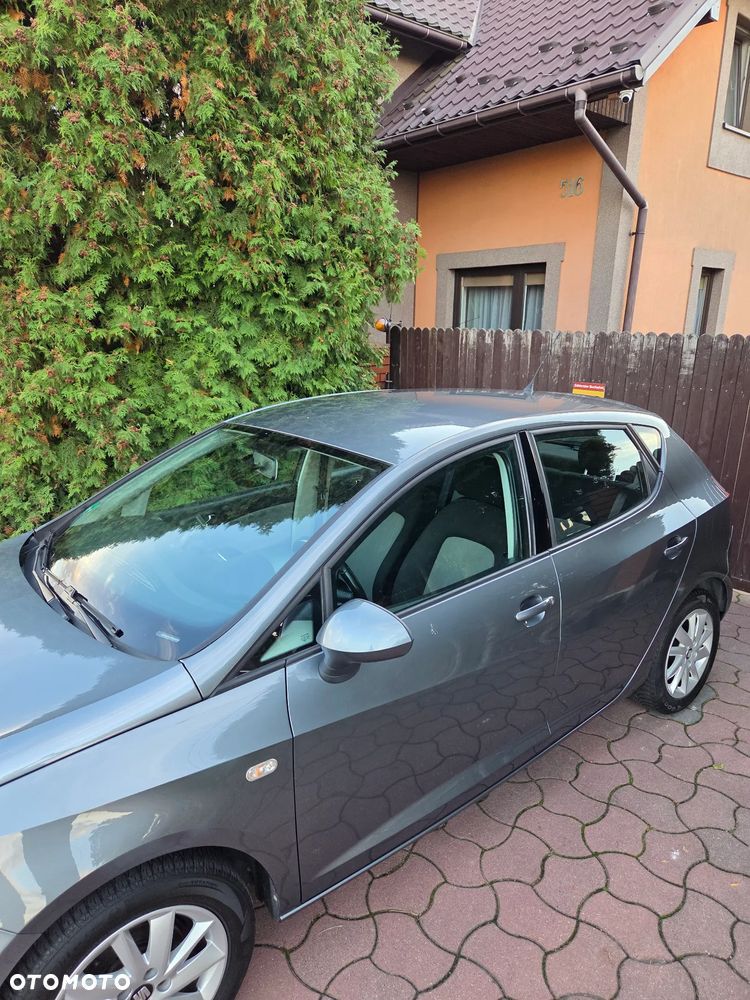 Seat Ibiza - 21
