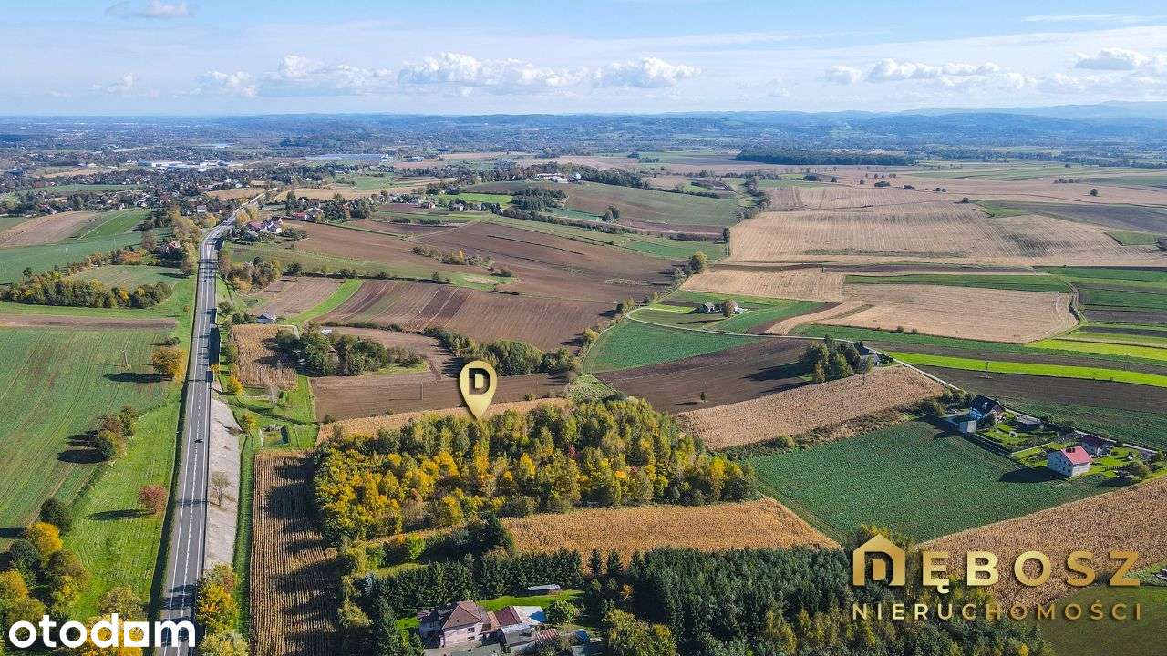 Brzezie | Działka budowlana - 51 ar - Pełny obrazek: 3/8