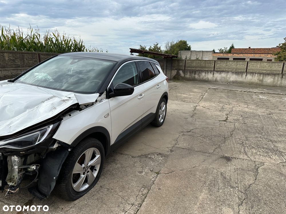 Opel Grandland X - 1