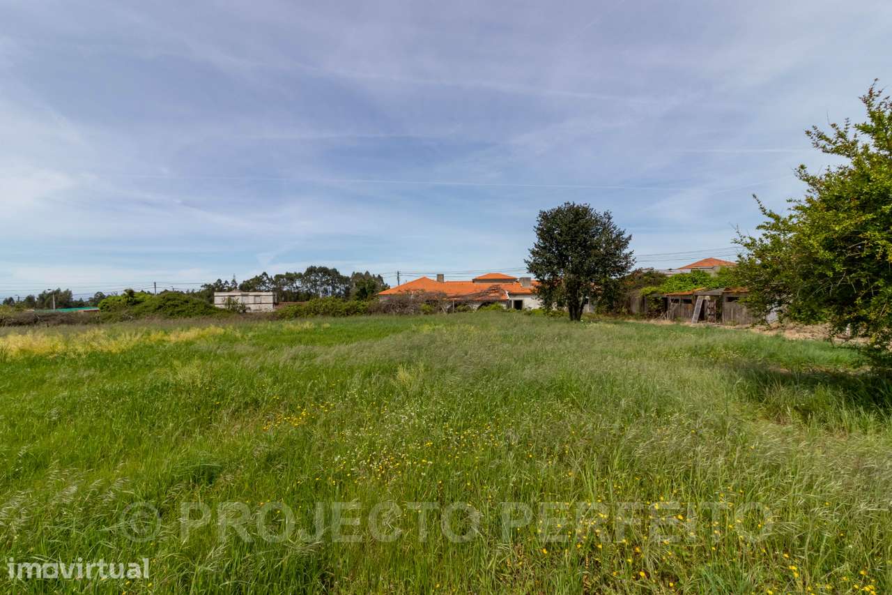 Terreno  Venda em Grijó e Sermonde,Vila Nova de Gaia - Grande imagem: 5/8
