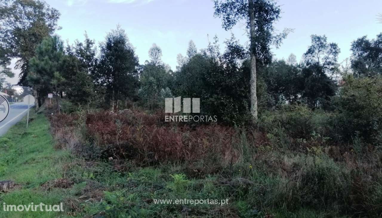 Venda de terreno para construção, Carvoeiro, Viana do Castelo - Grande imagem: 3/30