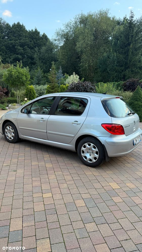 Peugeot 307 1.4 Presence - 8