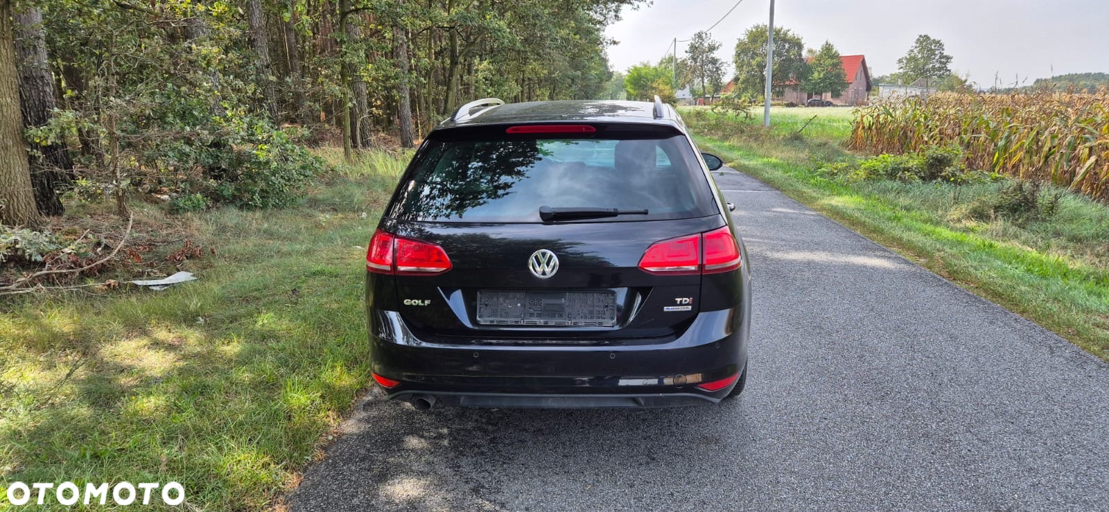 Volkswagen Golf - 2