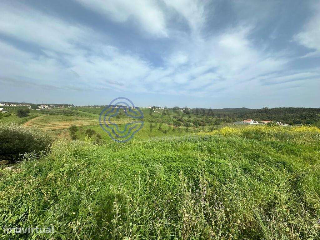 Terreno rústico para produção agrícola - Grande imagem: 3/5