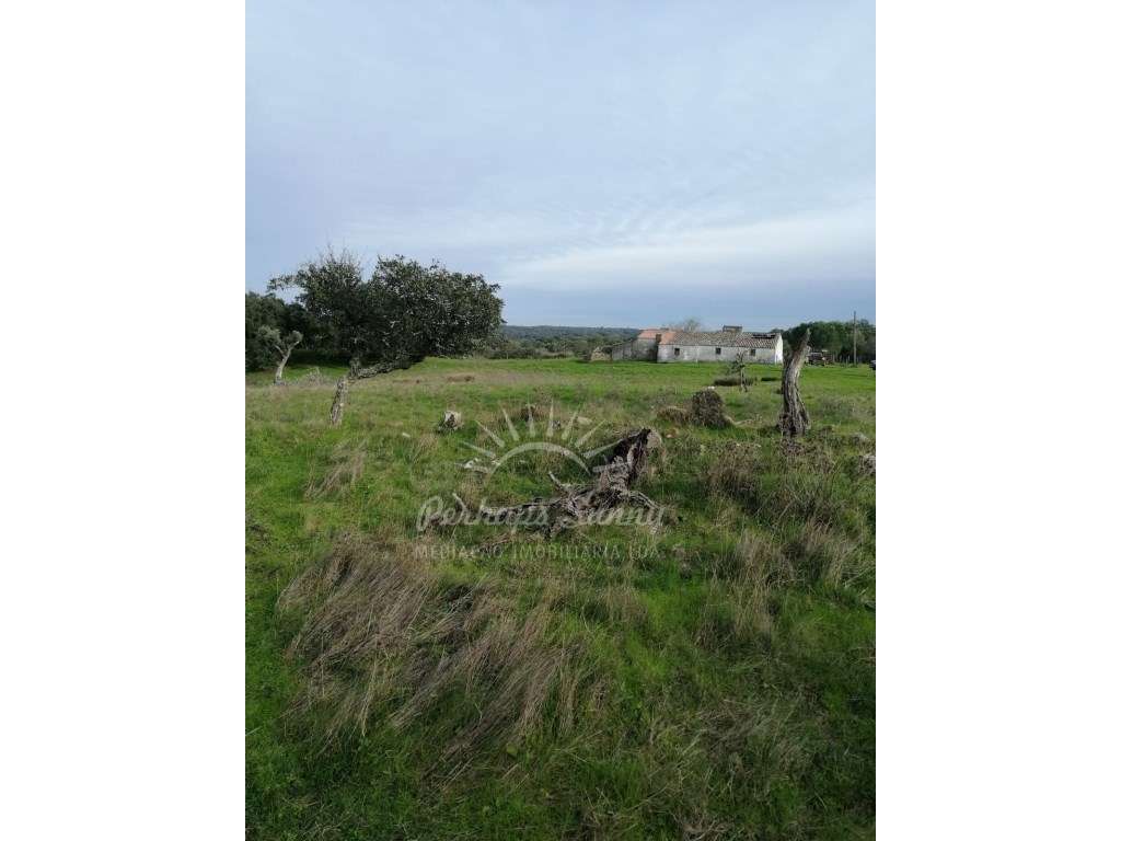 Quinta Santa Margarida da Serra - Grândola - Grande imagem: 4/18