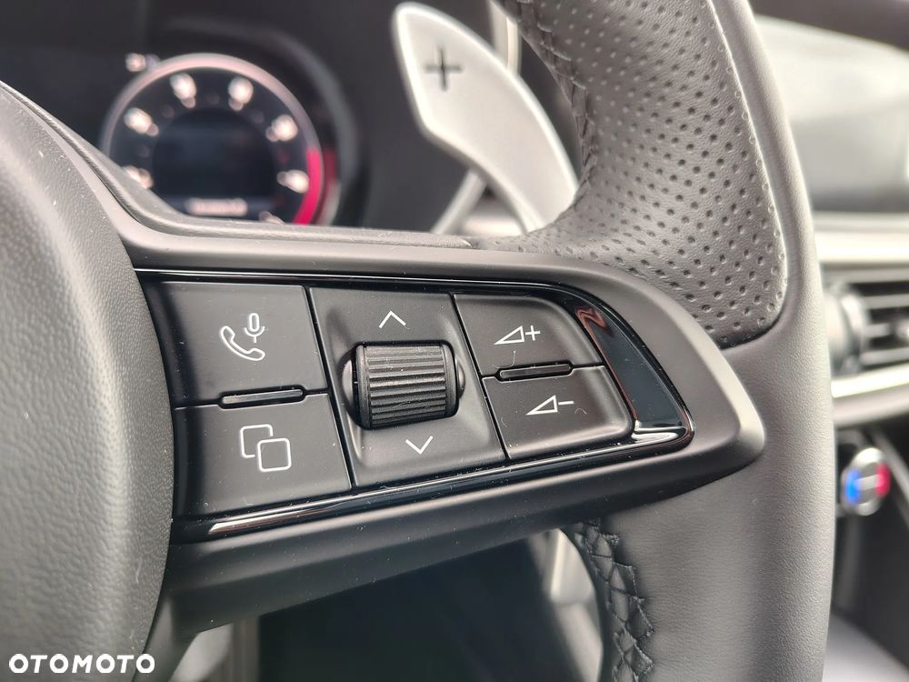 Alfa Romeo Stelvio 2.0 Turbo Veloce Q4 - 13