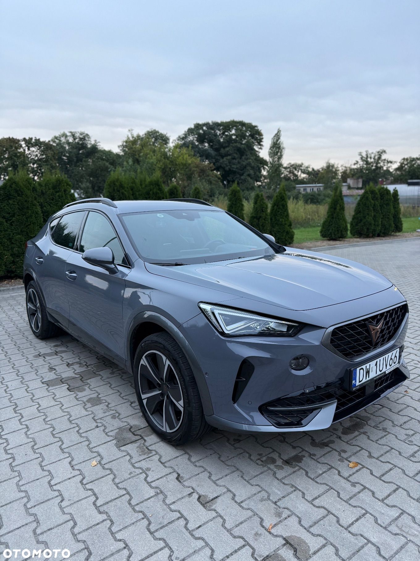 Cupra Formentor 1.5 TSI DSG - 1