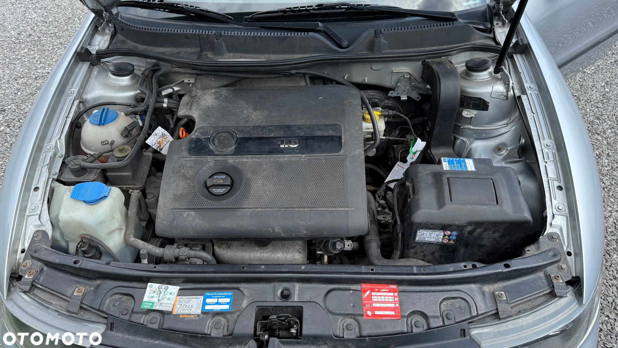 Seat Leon - 12