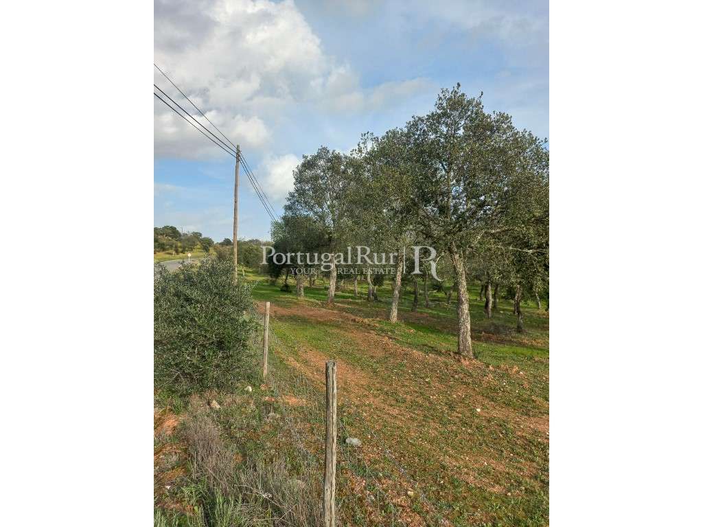 Terreno em Serpa com Viabilidade para Construção - Grande imagem: 5/8