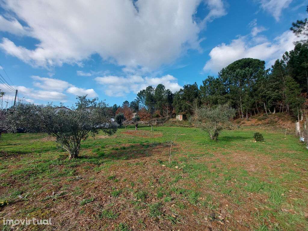 Terreno em Côja para construção - Grande imagem: 2/7