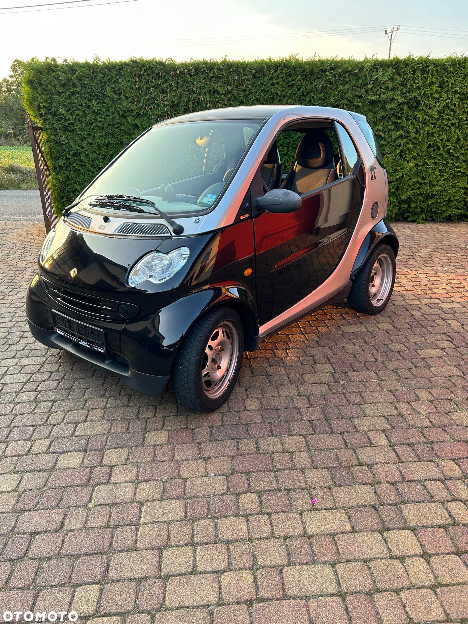 Smart Fortwo coupe softtouch pulse - 4