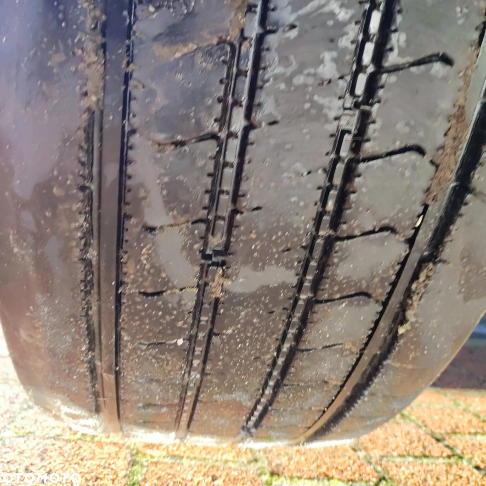 MAN TGX 18.440 - 15