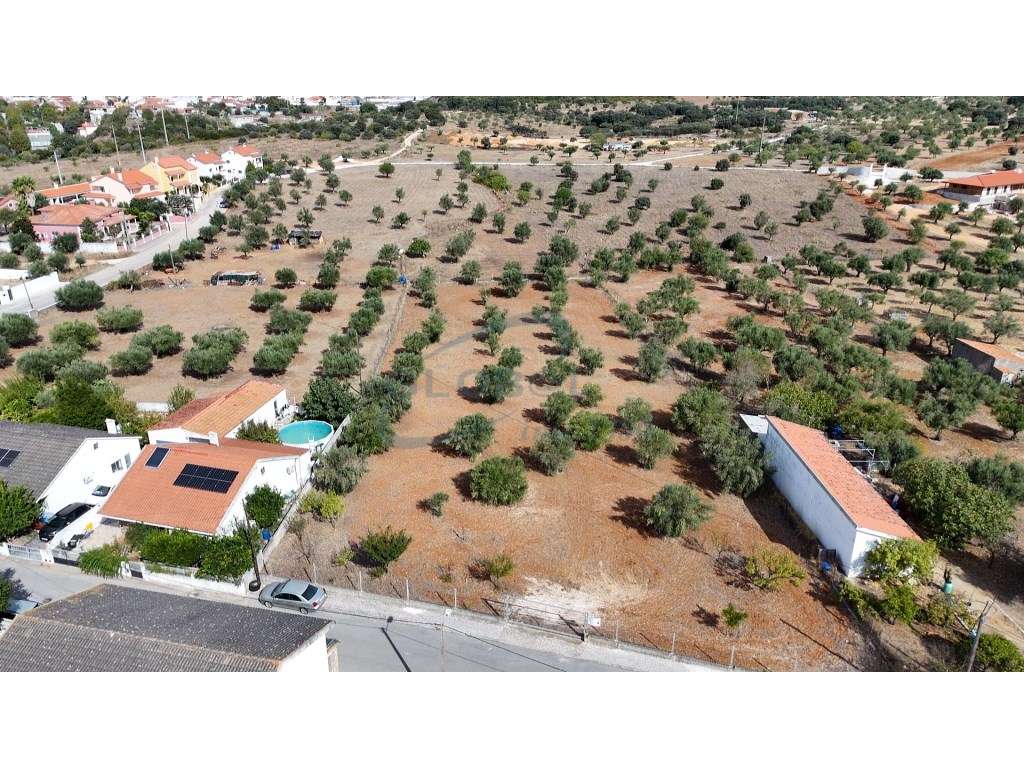 Terreno Exclusivo com Vista Serra | 4.040 m² | 1.850 m² Urbanos | C... - Grande imagem: 2/8