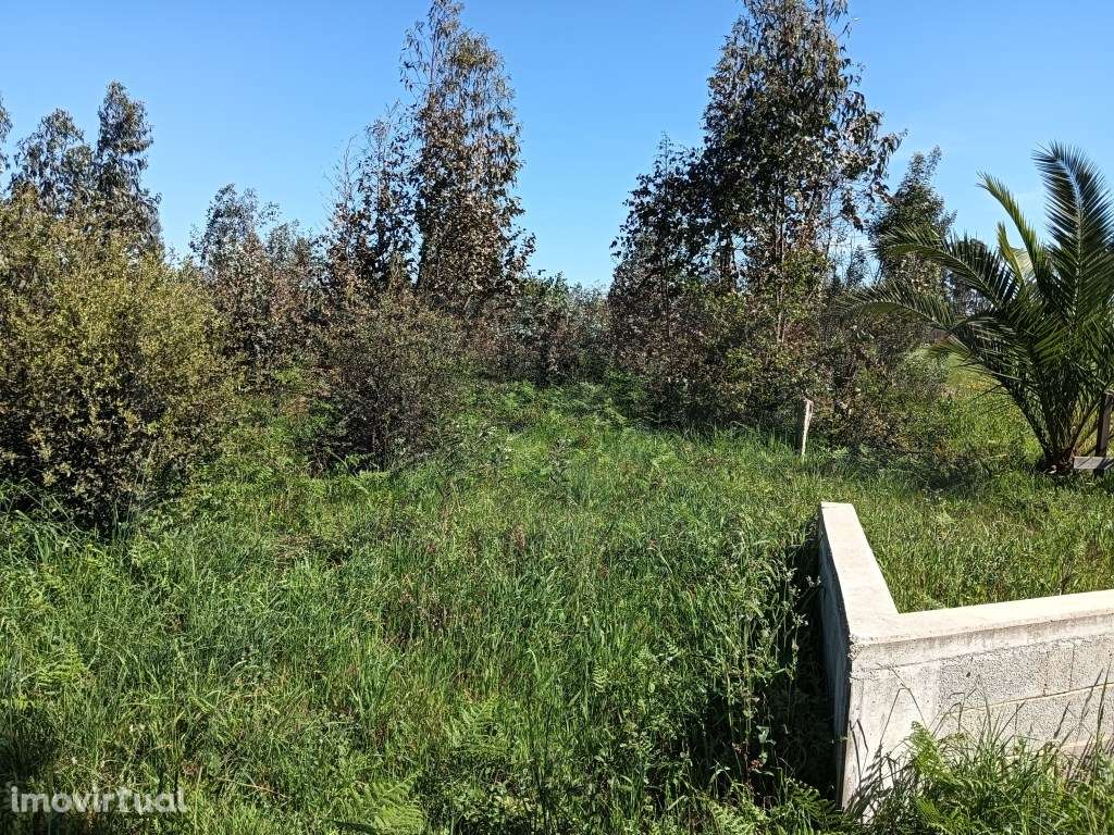 Terreno com 22.50m de frente para moradia - Alquerubim / Albergaria... - Grande imagem: 4/10
