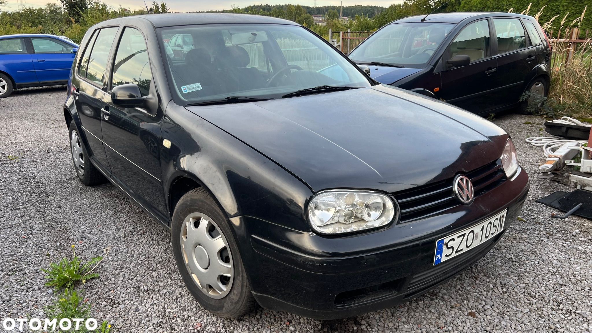 Volkswagen Golf IV 1.9 TDI - 1