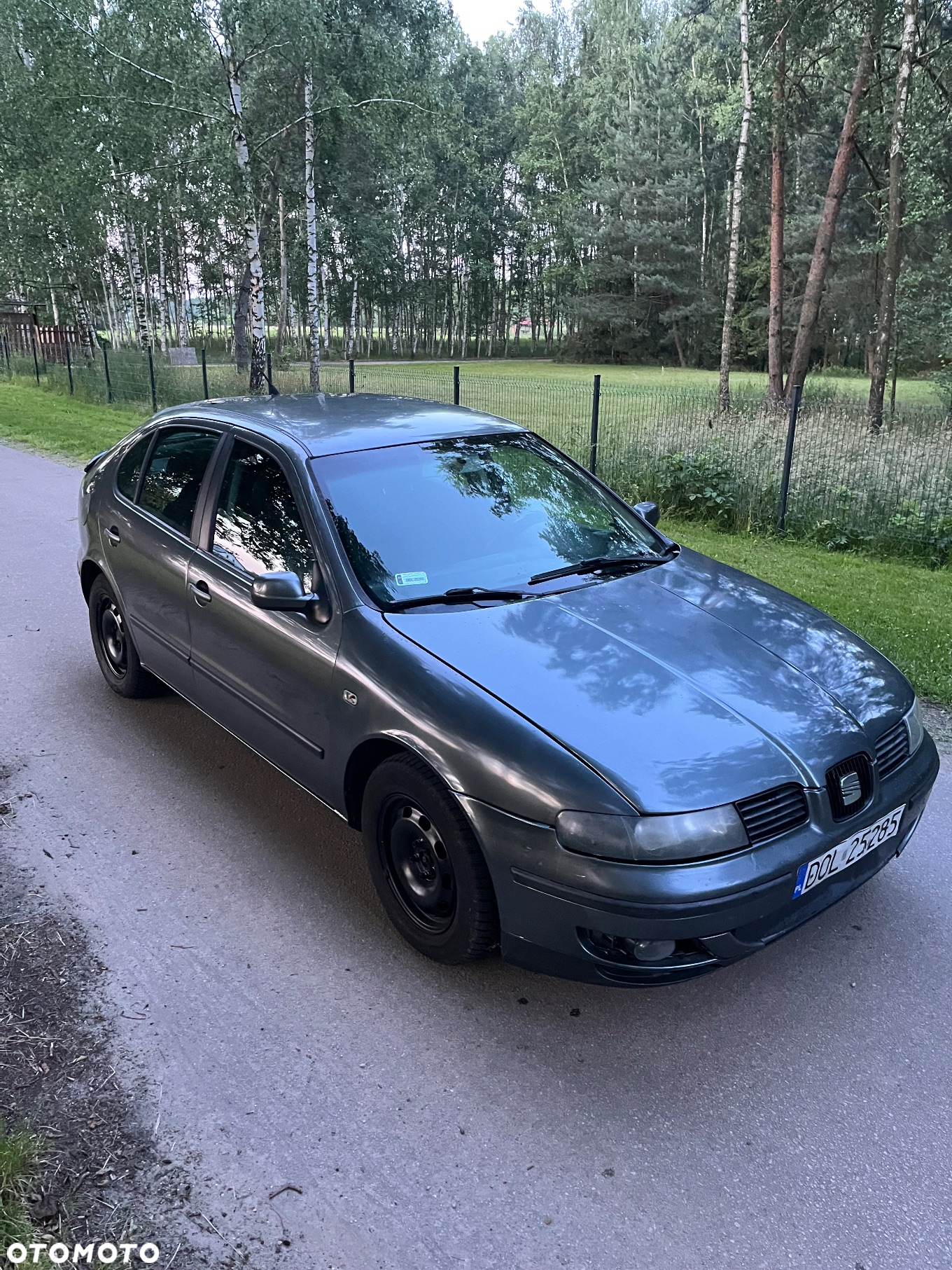 Seat Leon - 17
