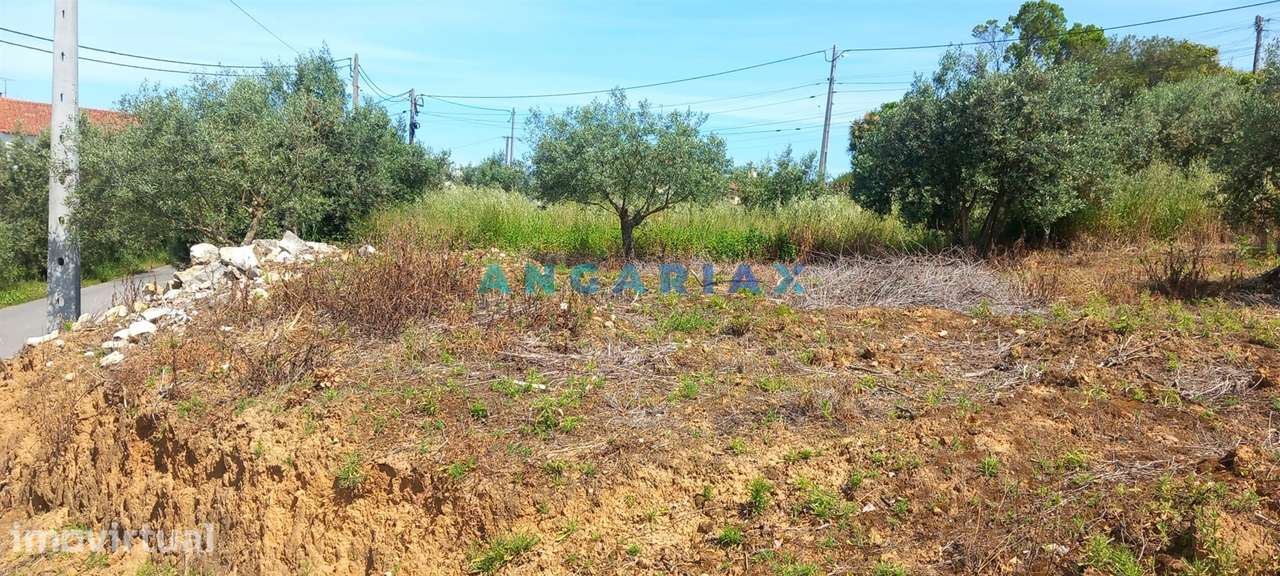 ANG1422 - Terreno de 1264m2 para Venda em Cortes, Leiria - Grande imagem: 5/7