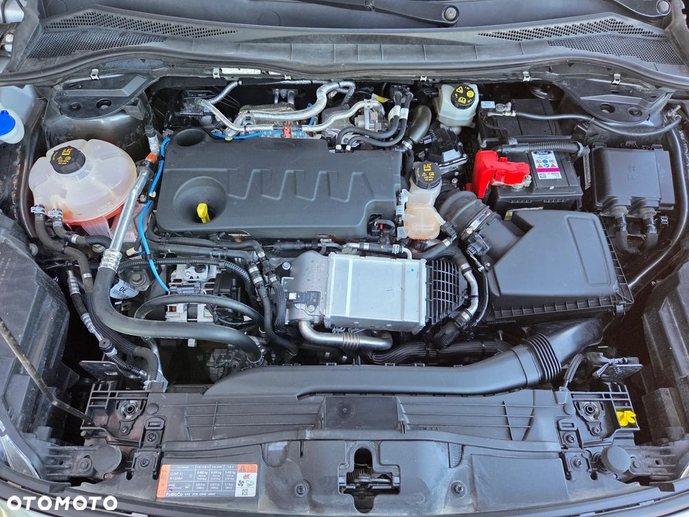 Ford Kuga 2.0 EcoBlue 4x4 VIGNALE - 39