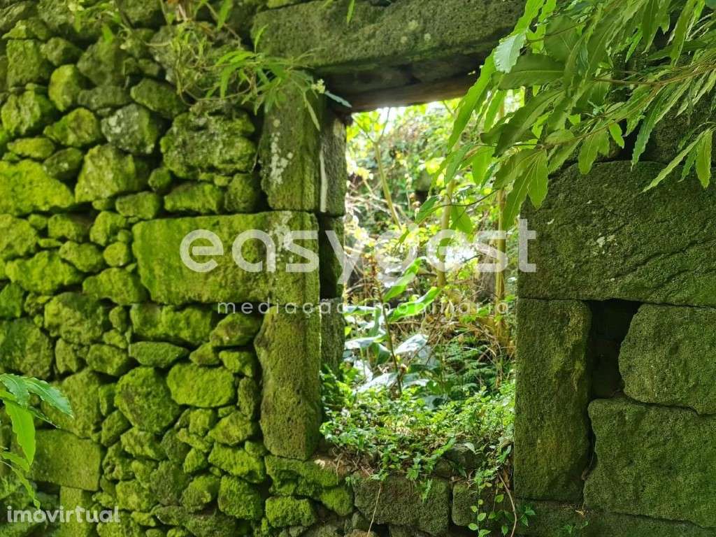 Ruina típica da ilha do Pico para recuperar na freguesia de São João - Grande imagem: 4/21