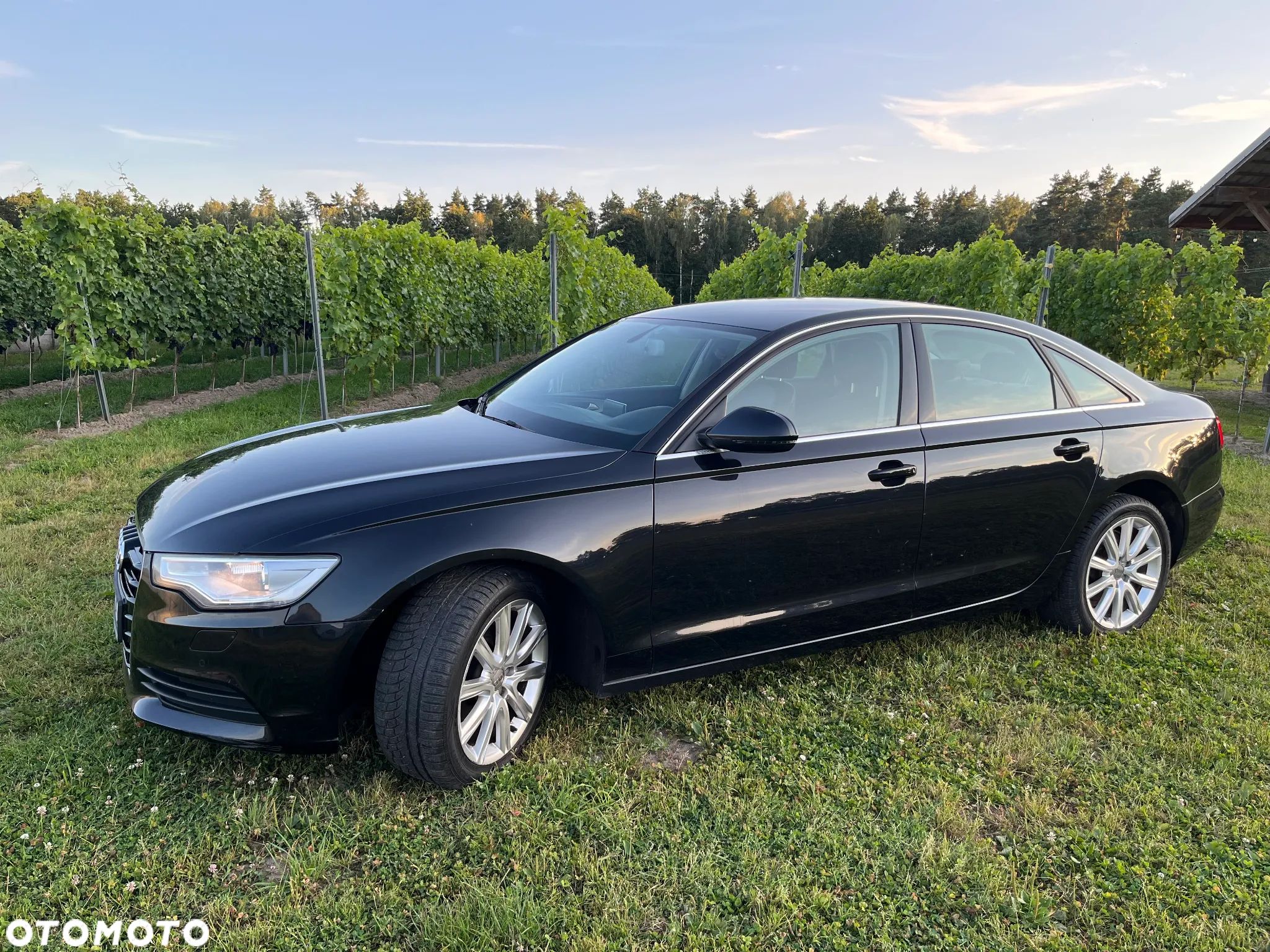 Audi A6 - 1