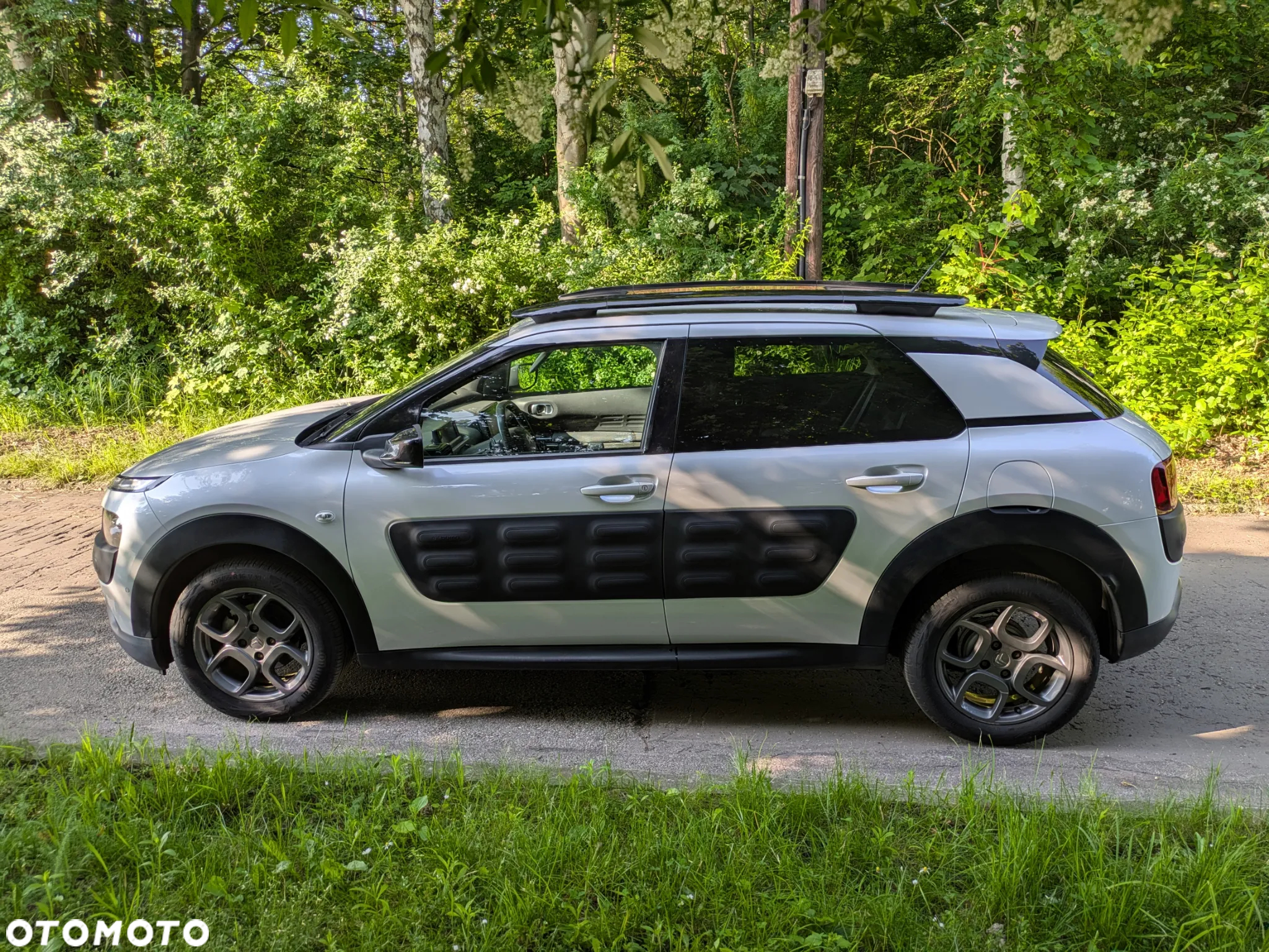 Citroën C4 Cactus 1.6 e-HDi Shine ETG - 3