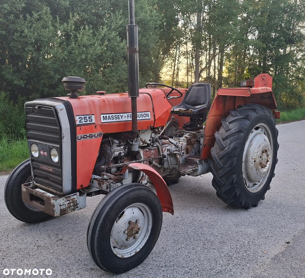 Massey Ferguson FERGUSON 255 - 1