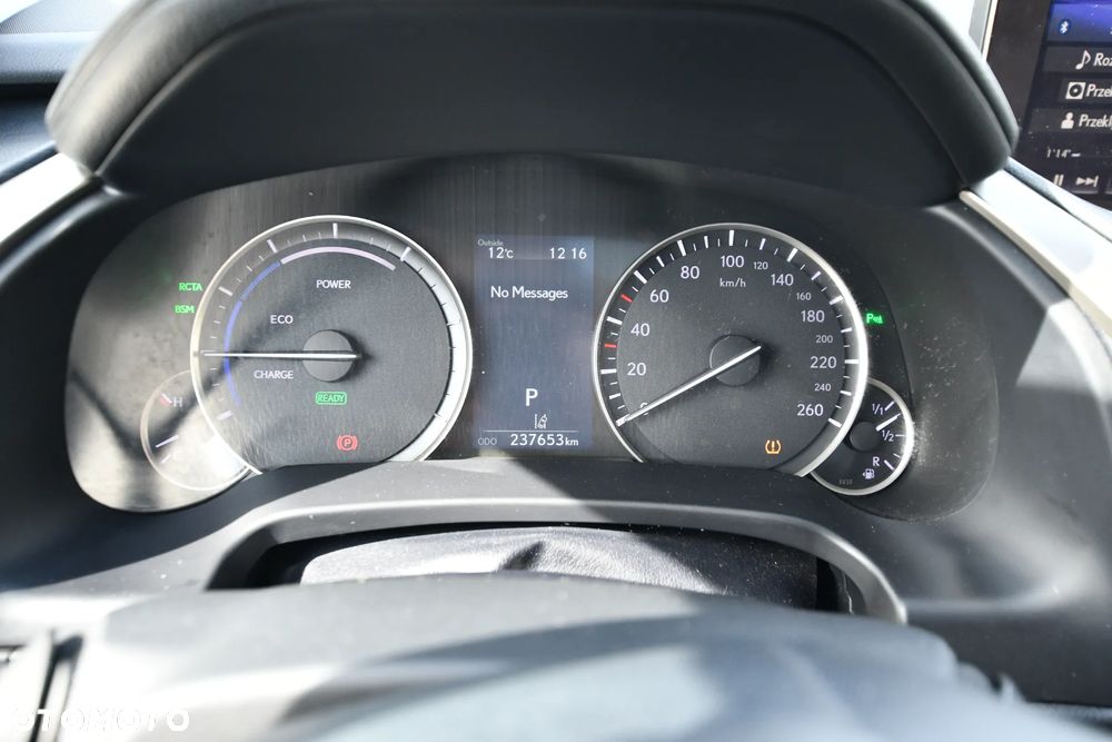 Lexus RX 450h Prestige MY19 - 17