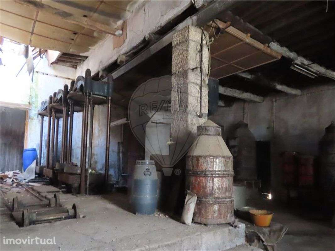 Armazém  para venda - Grande imagem: 3/17