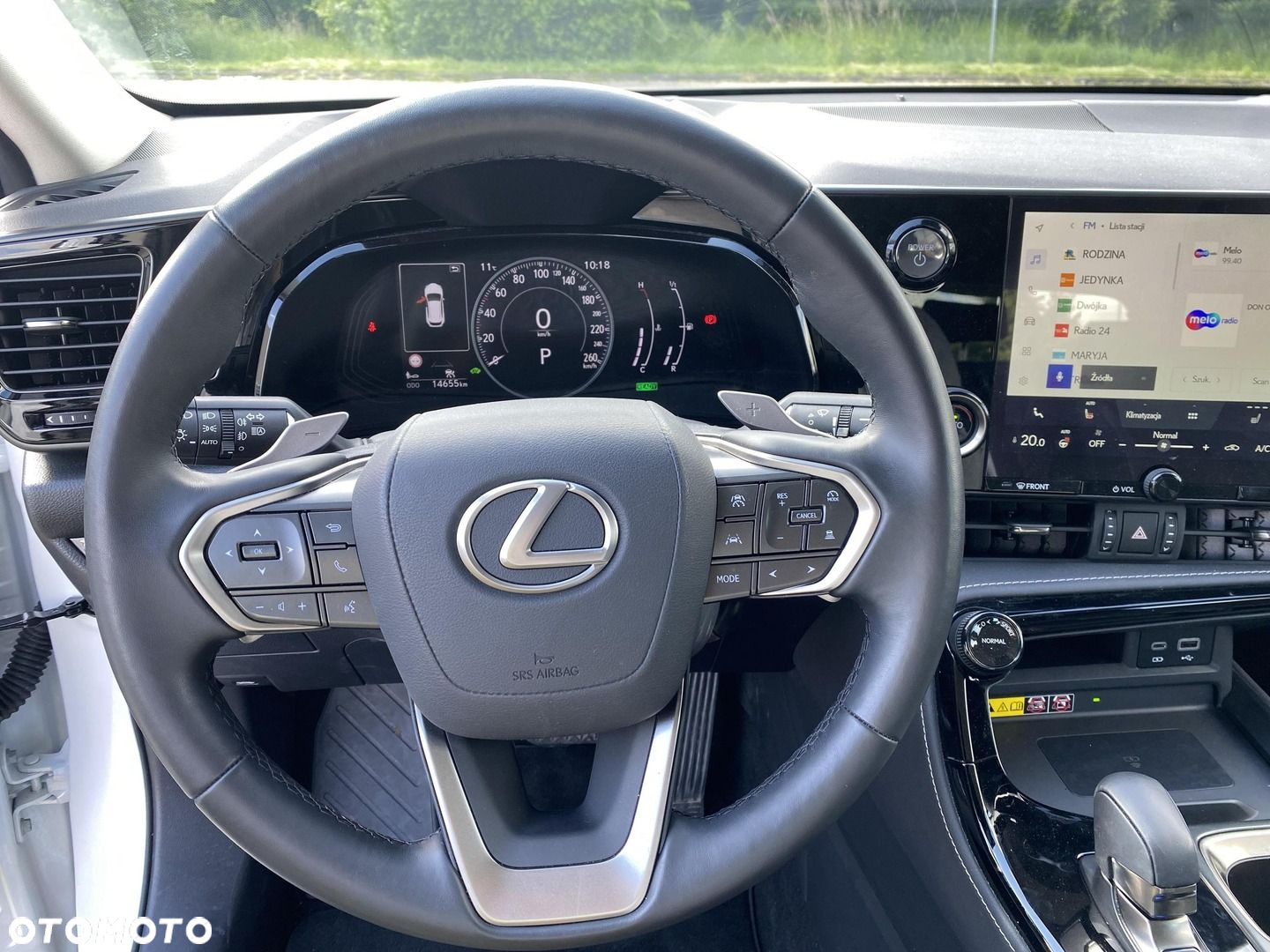 Lexus NX - 18