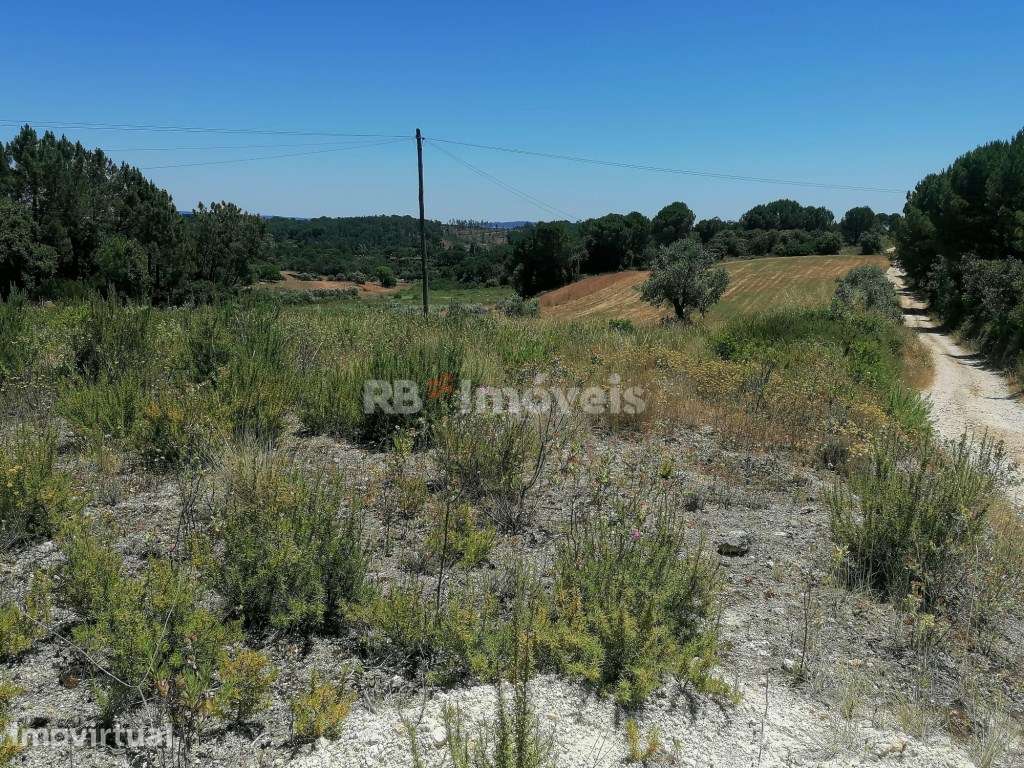 Terreno rústico com 5 hectares - Cem Soldos, Tomar - Grande imagem: 4/7