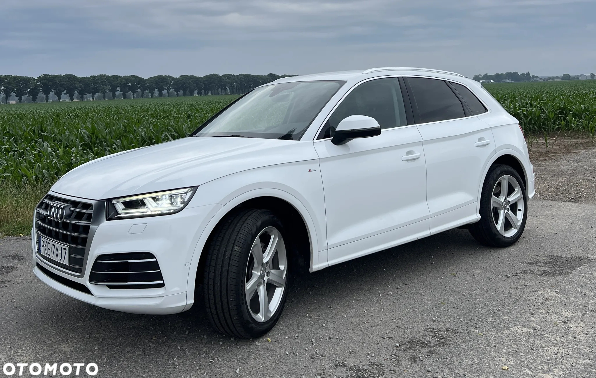 Audi Q5 2.0 TDI Quattro S tronic - 2